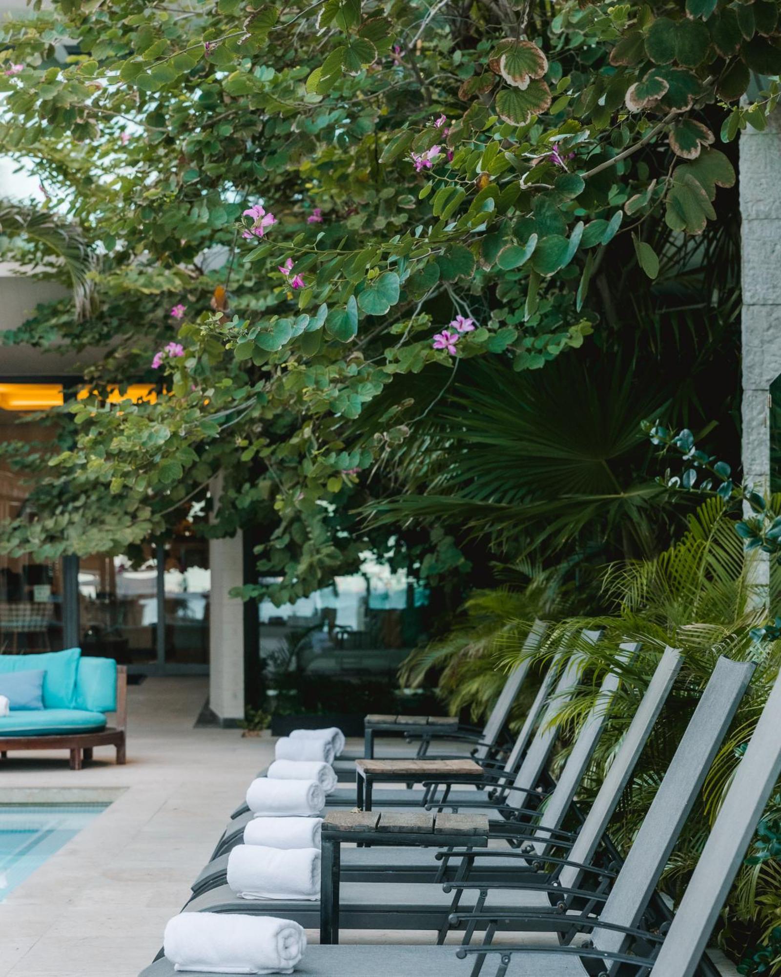 Hyatt Centric Playa Del Carmen - Downtown House & Beach House (Adults Only) Eksteriør billede